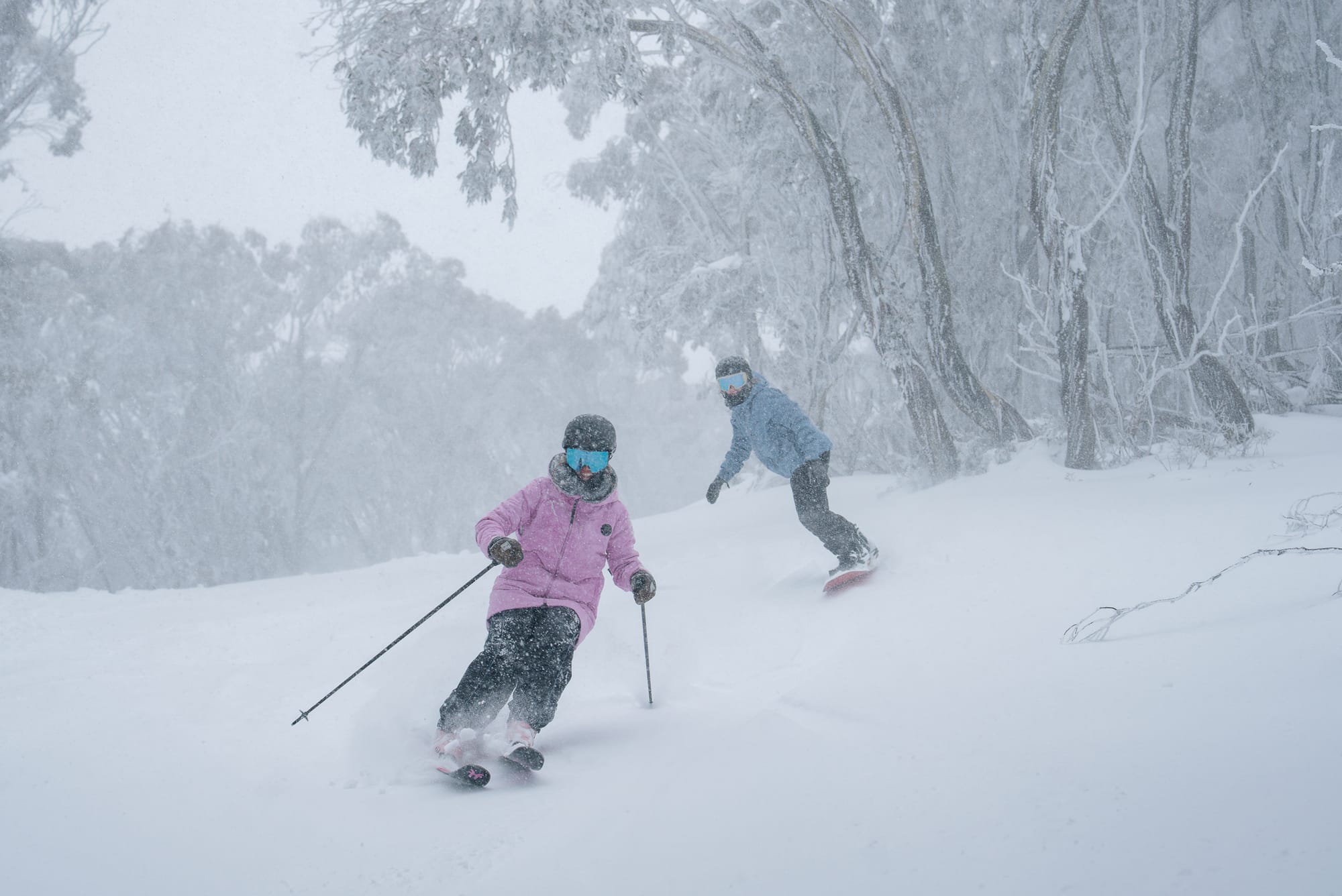 Brain buckets: head protection makes sense Post image