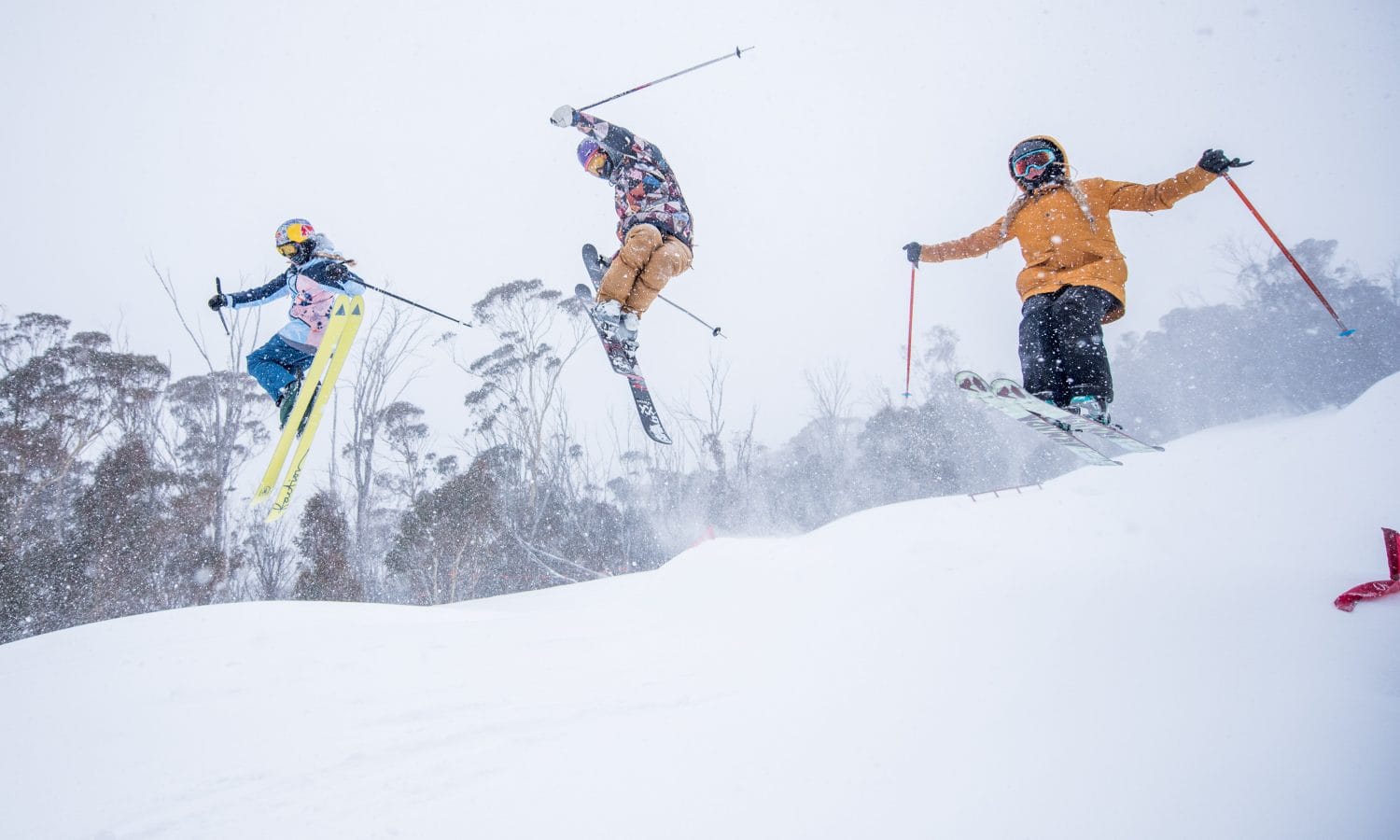 Chicks with Stix Post image