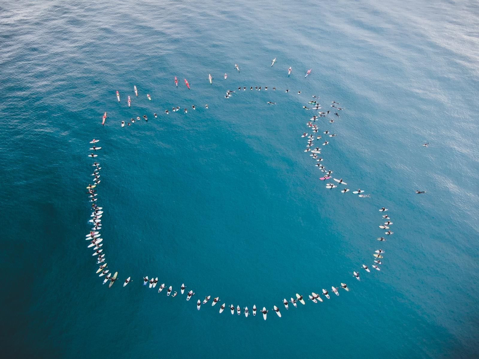 Rest peacefully, Chumpy Post image