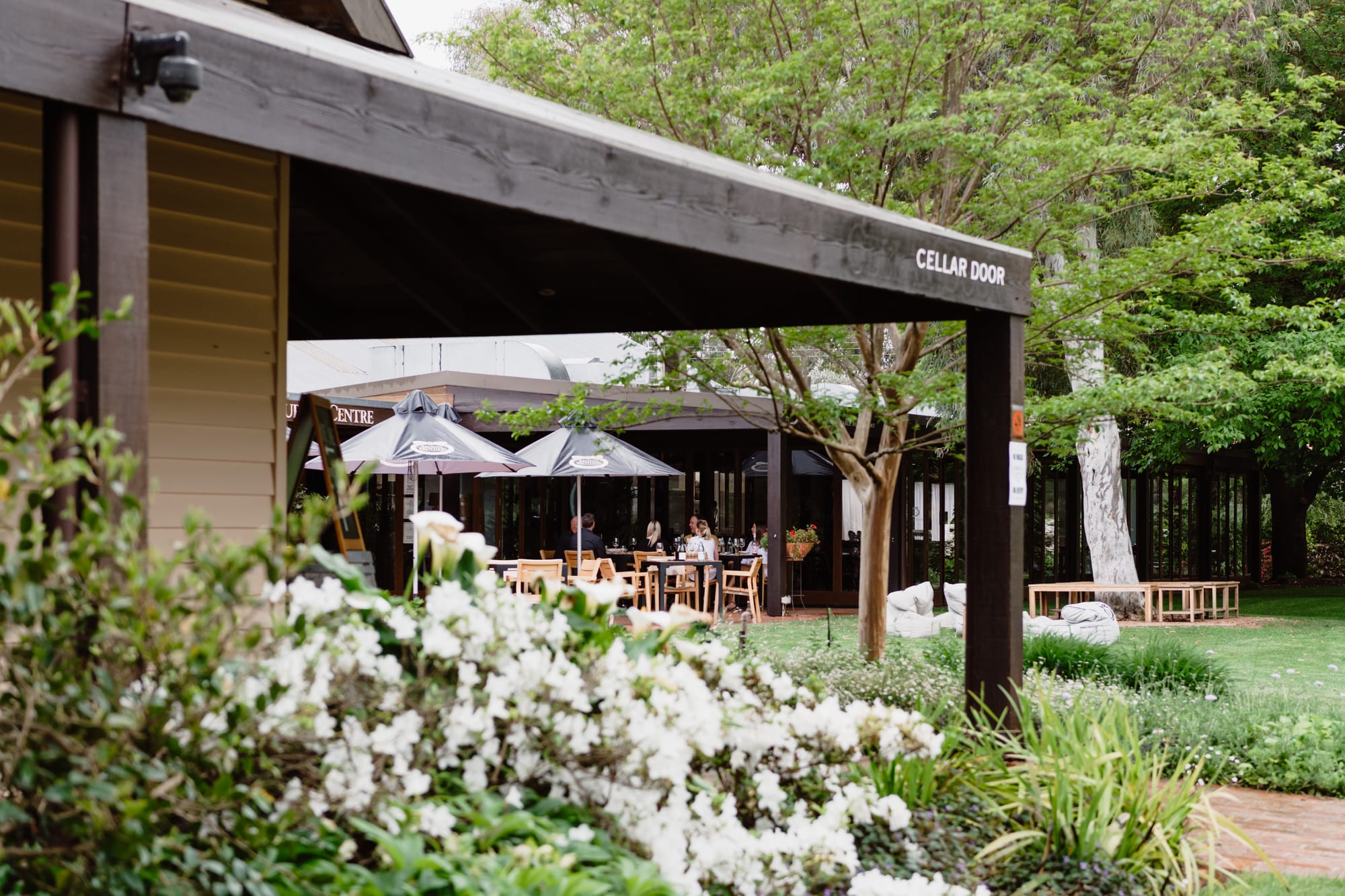 Experience a new food philosophy Post image