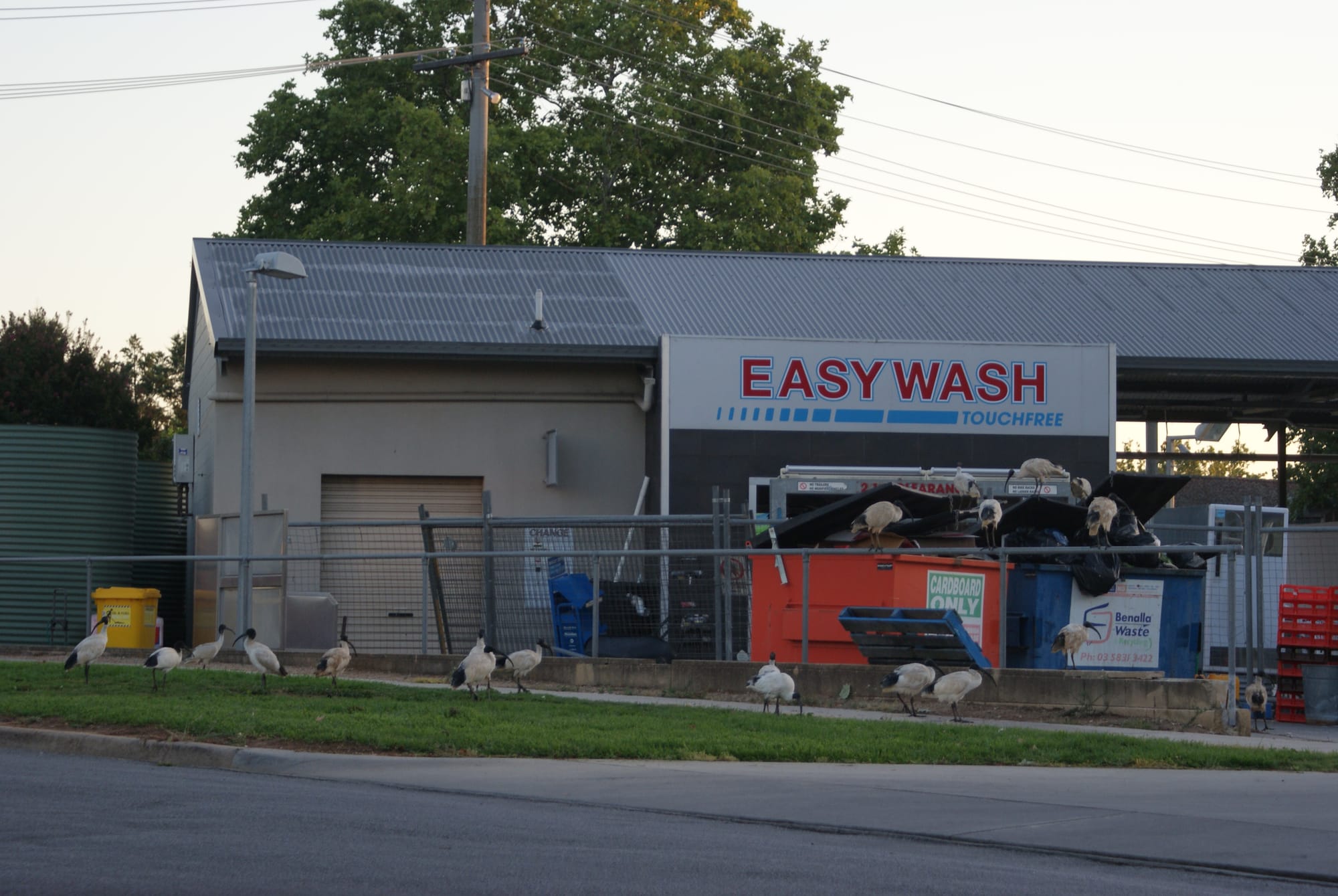 Relax in Mansfield Post image