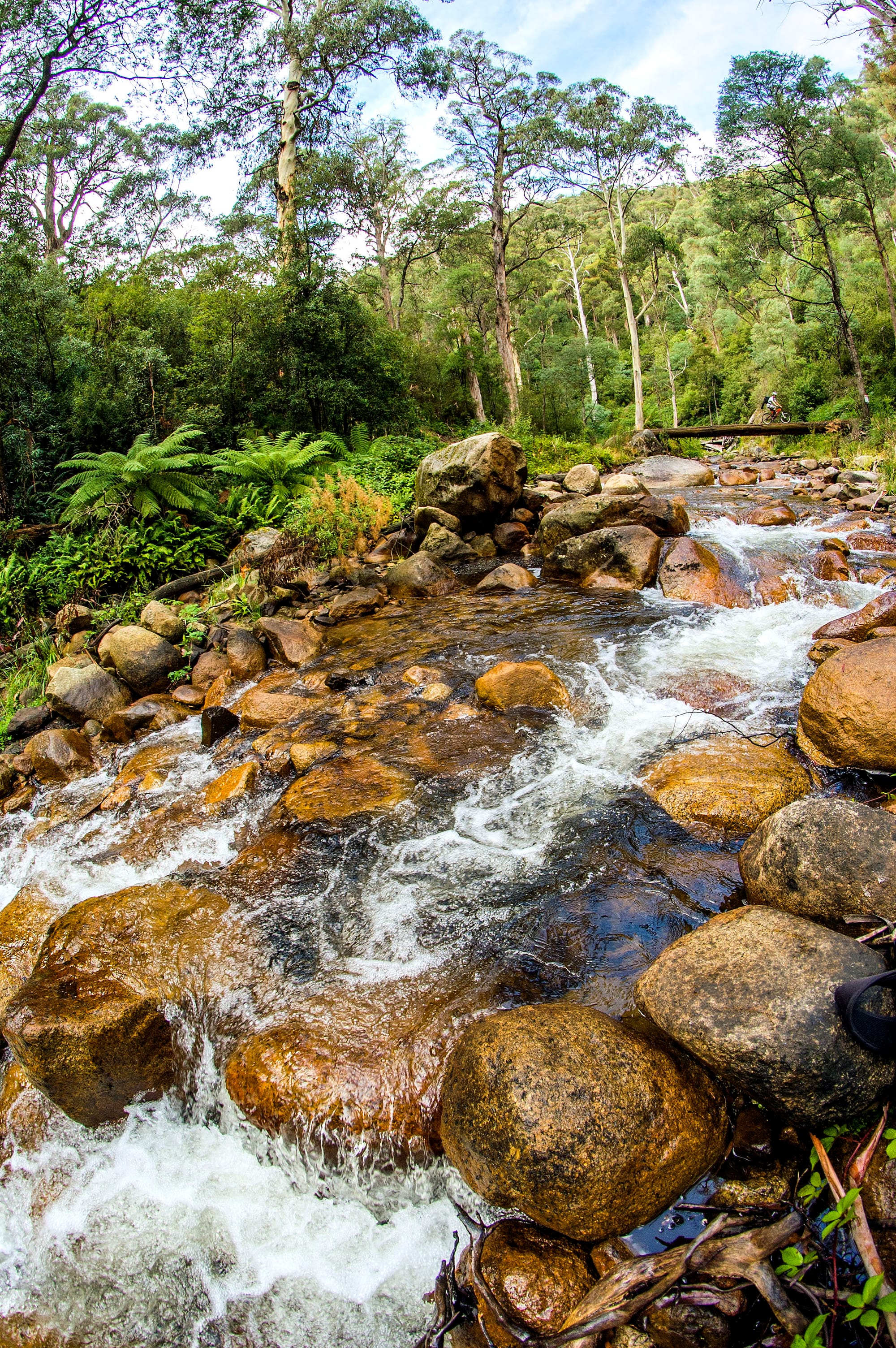 Magnificent Mansfield awaits Post image