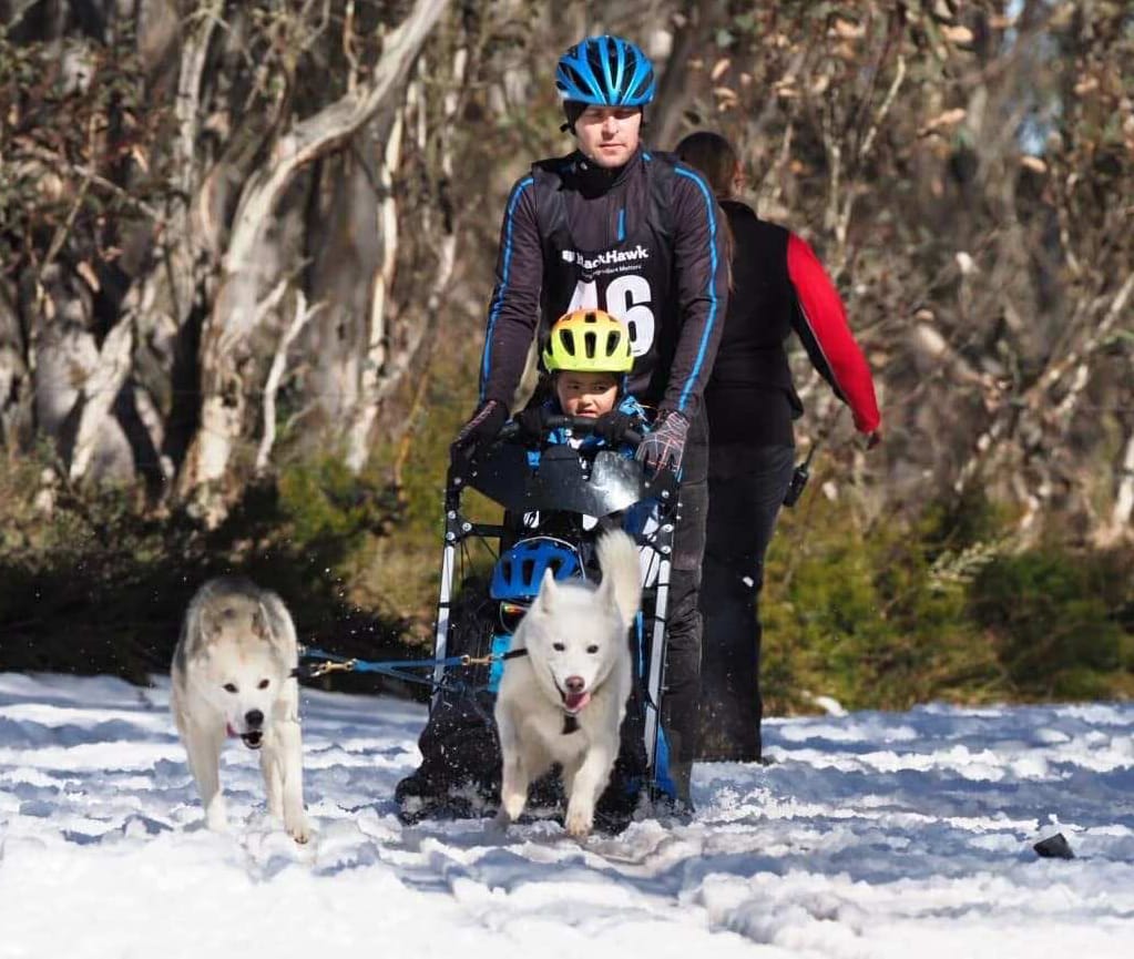 Perfect conditions for sled dog racing at Dinner Plain Post image