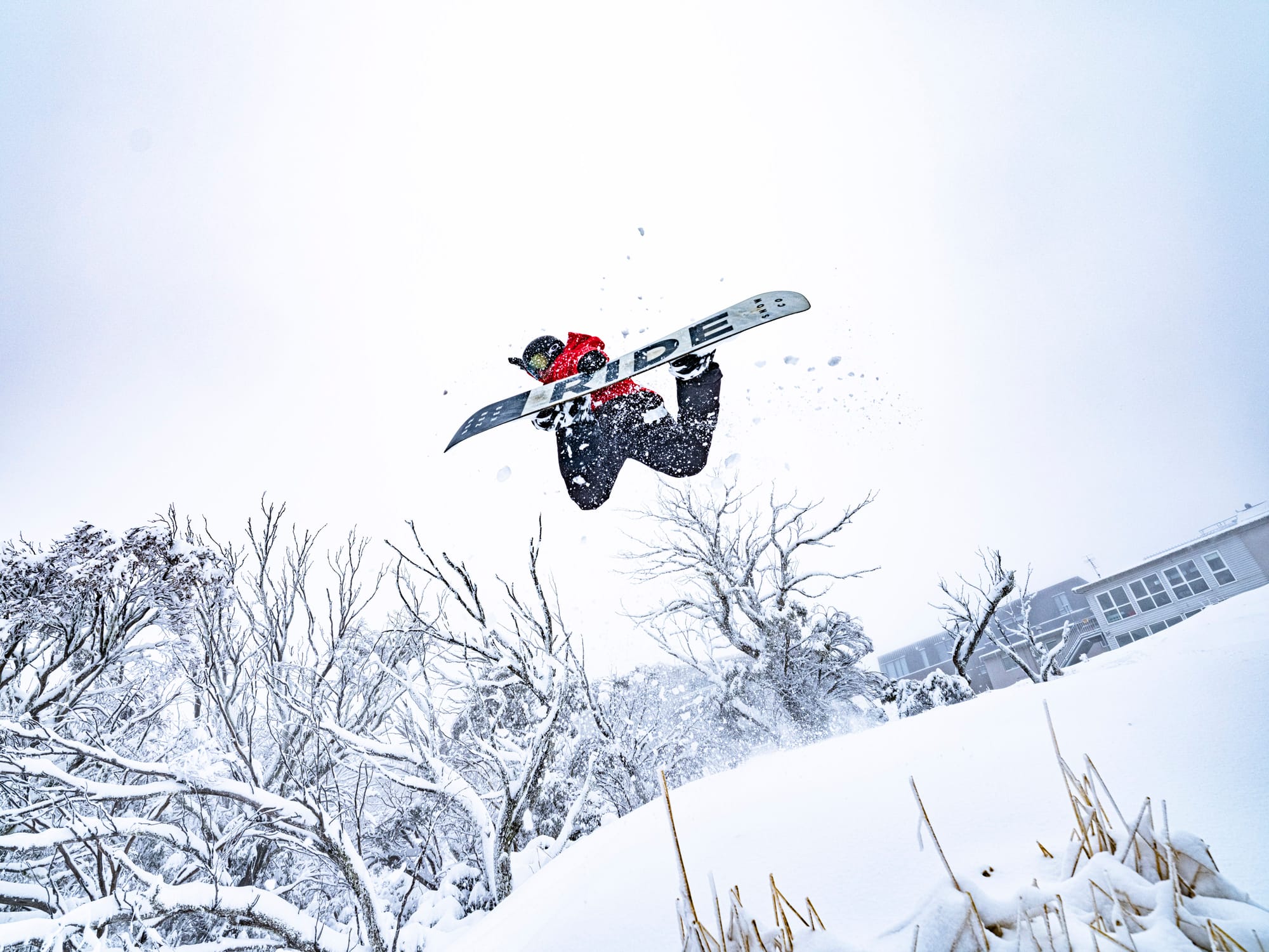 Buller let it snow Post image