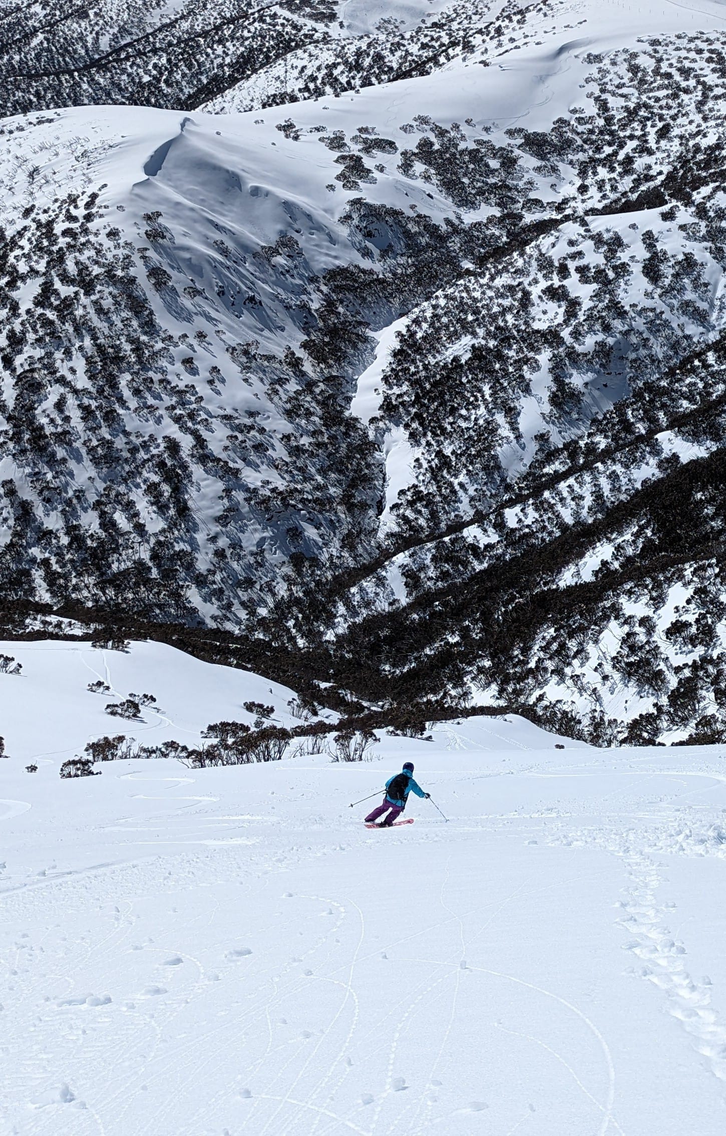 Spilling the Beans – Classic Hotham Sidecountry Descents Part 3 Post image