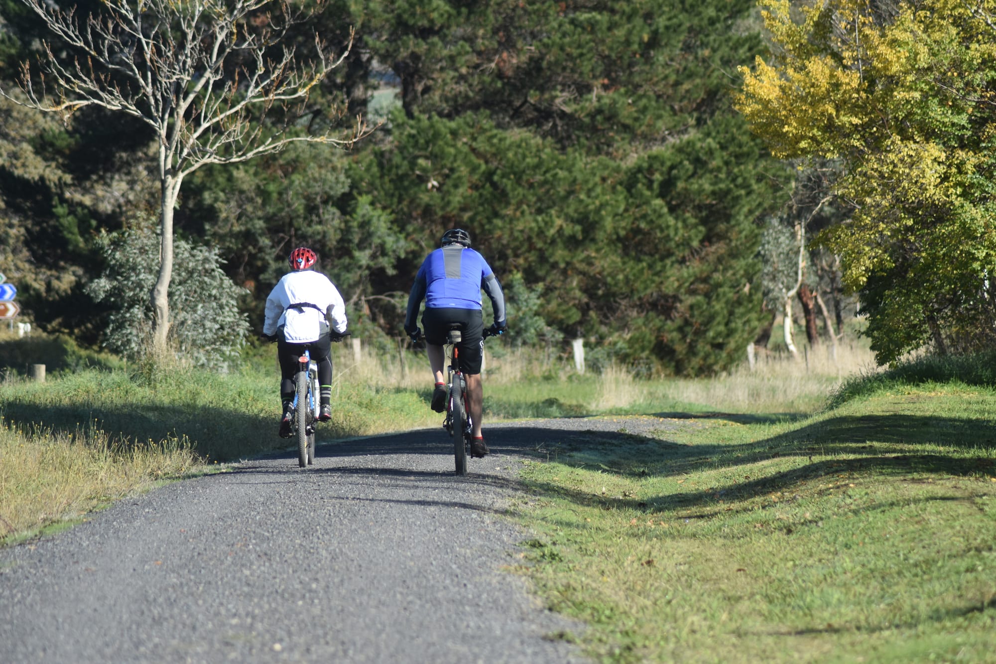 Rail trail good for ‘lockdown exercising’ and after Post image