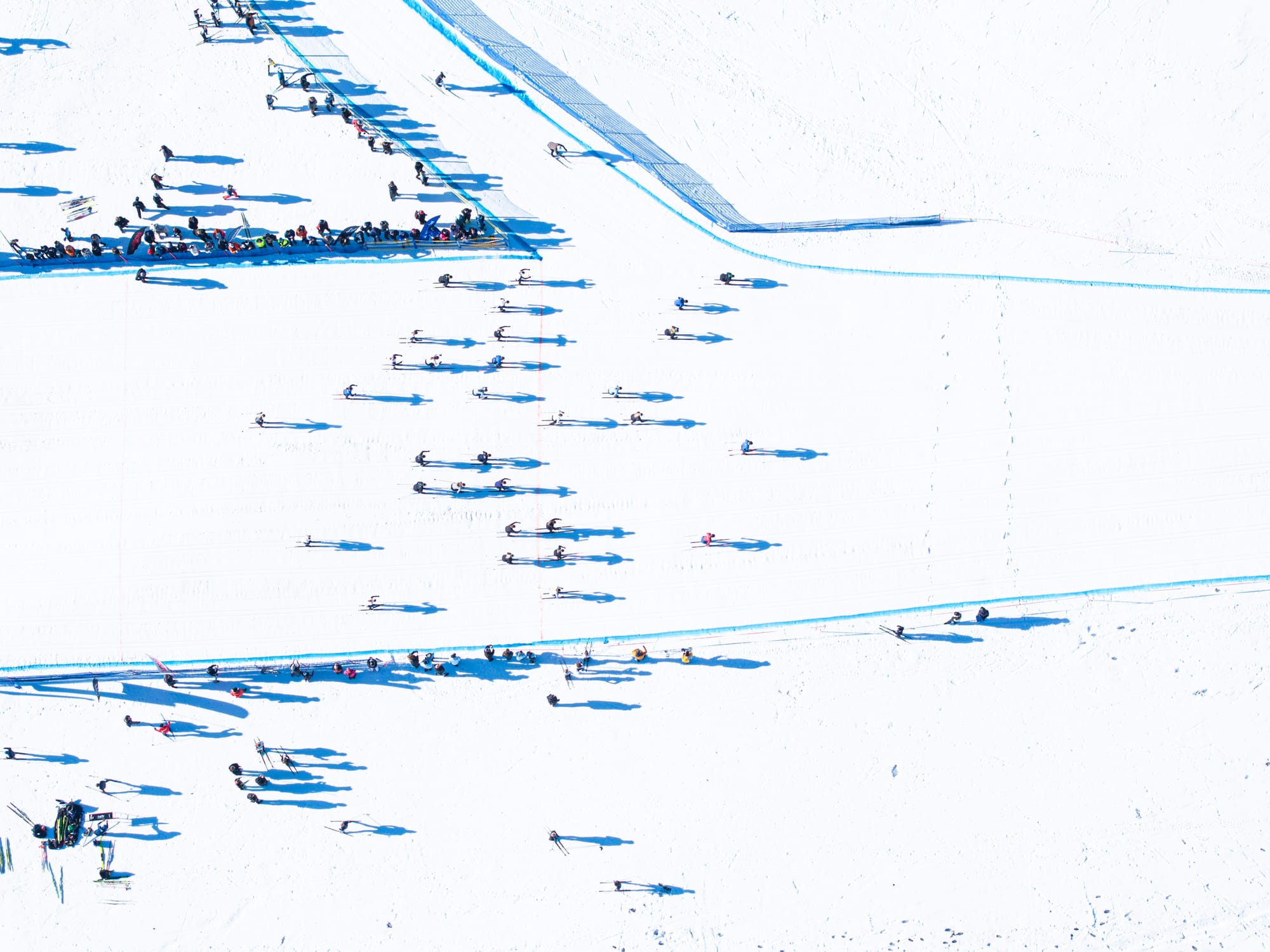 Melbourne Grammar - Grimwade House blitz the XC fields Post image