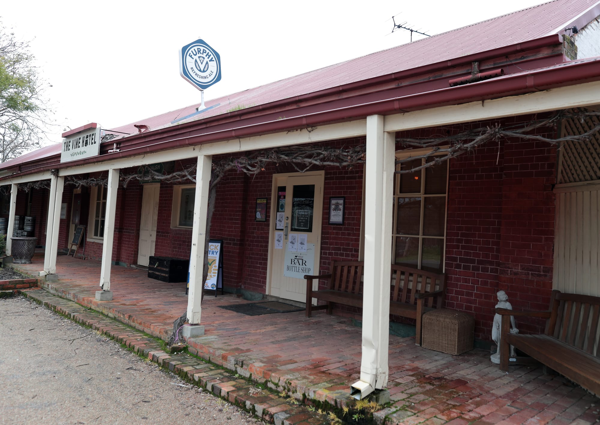 Winter at the Vine Post image