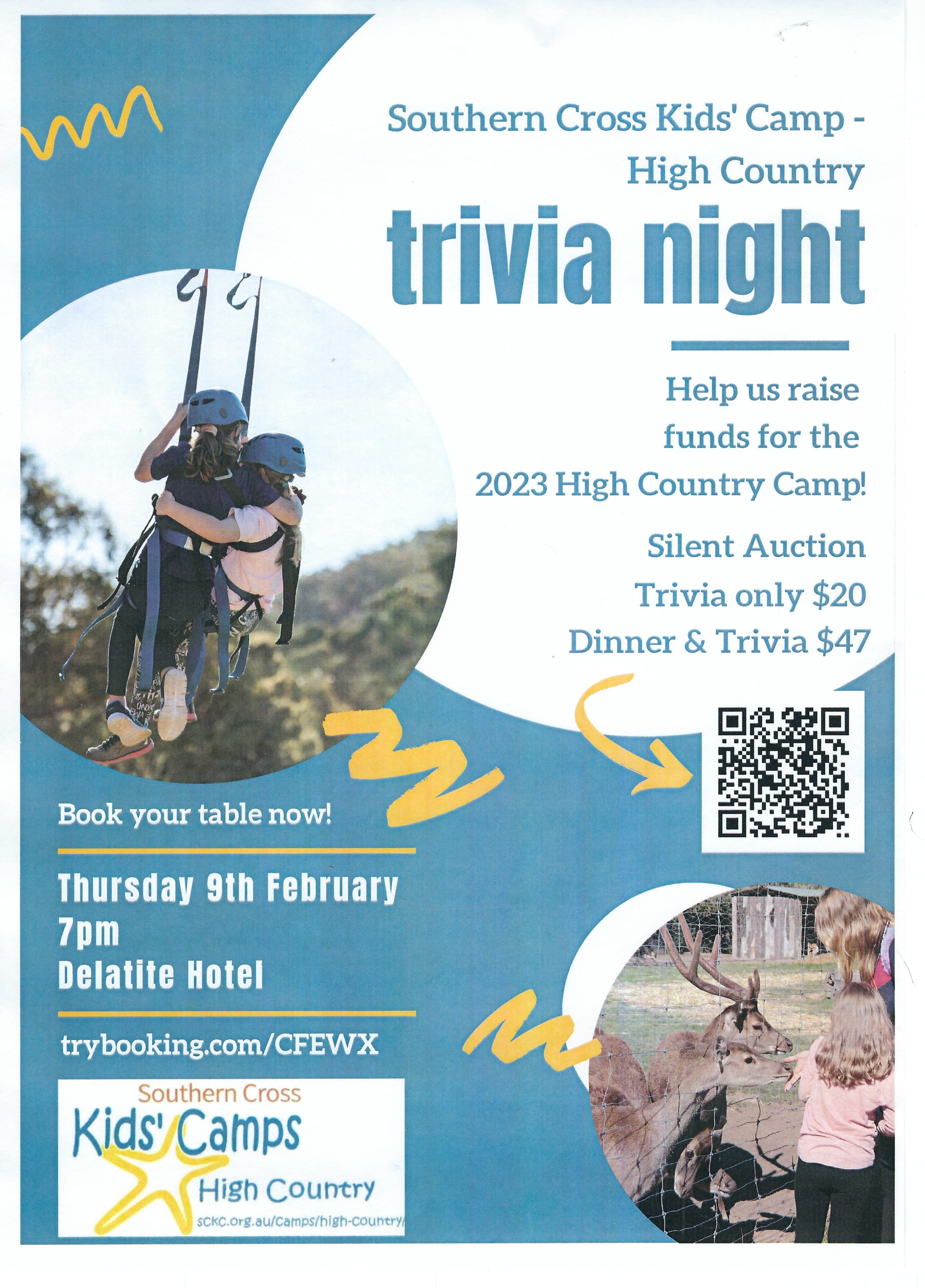 Trivia night and silent auction for kid's camp Post image