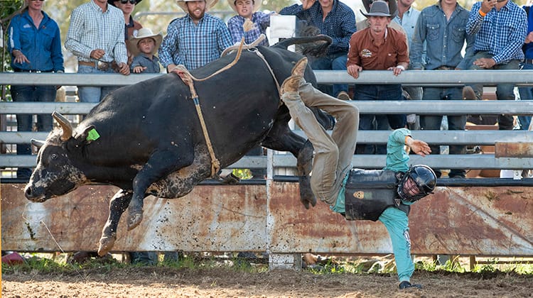 Jindabyne Man from Snowy River Rodeo Post image