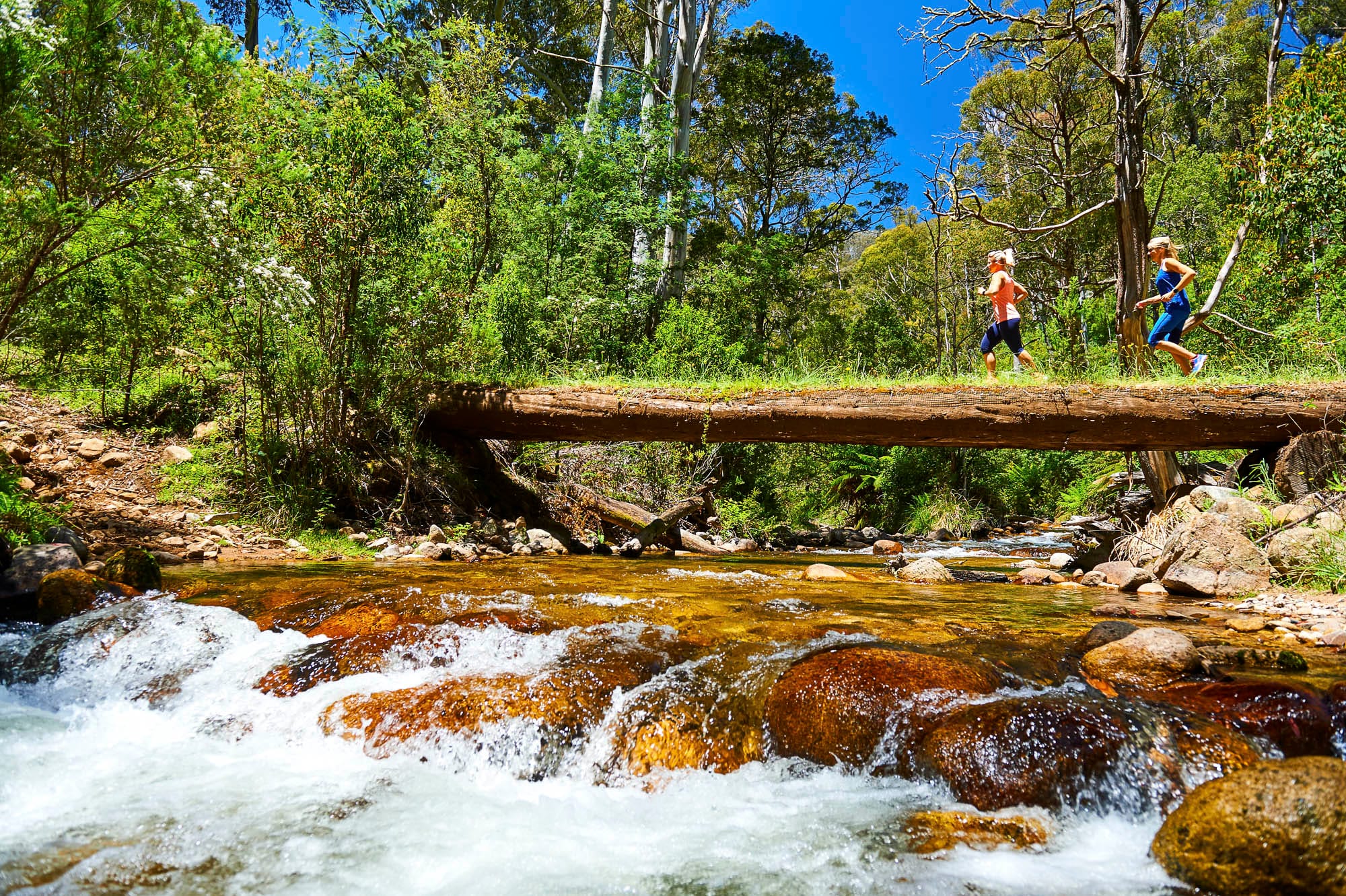 Make your way to Mansfield this autumn Post image