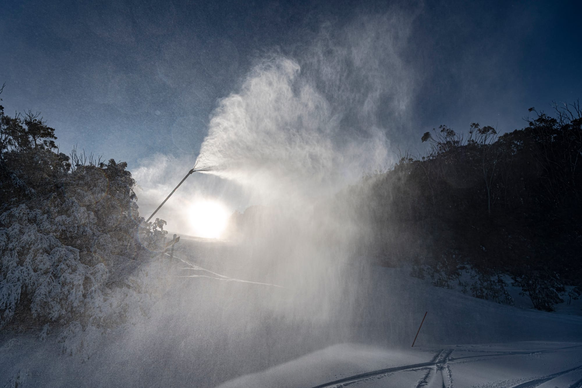 Improvements to power and parking on Buller Post image