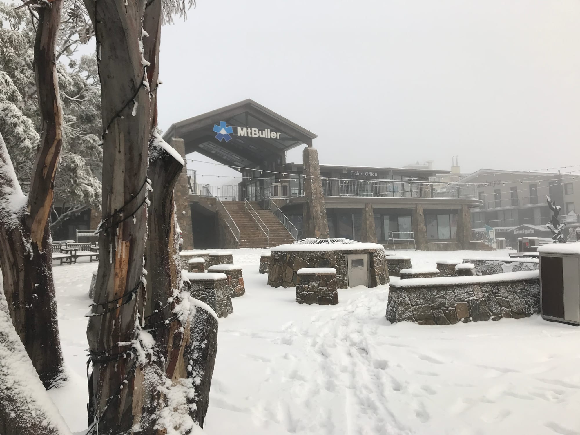 Buller ready for snow fun Post image