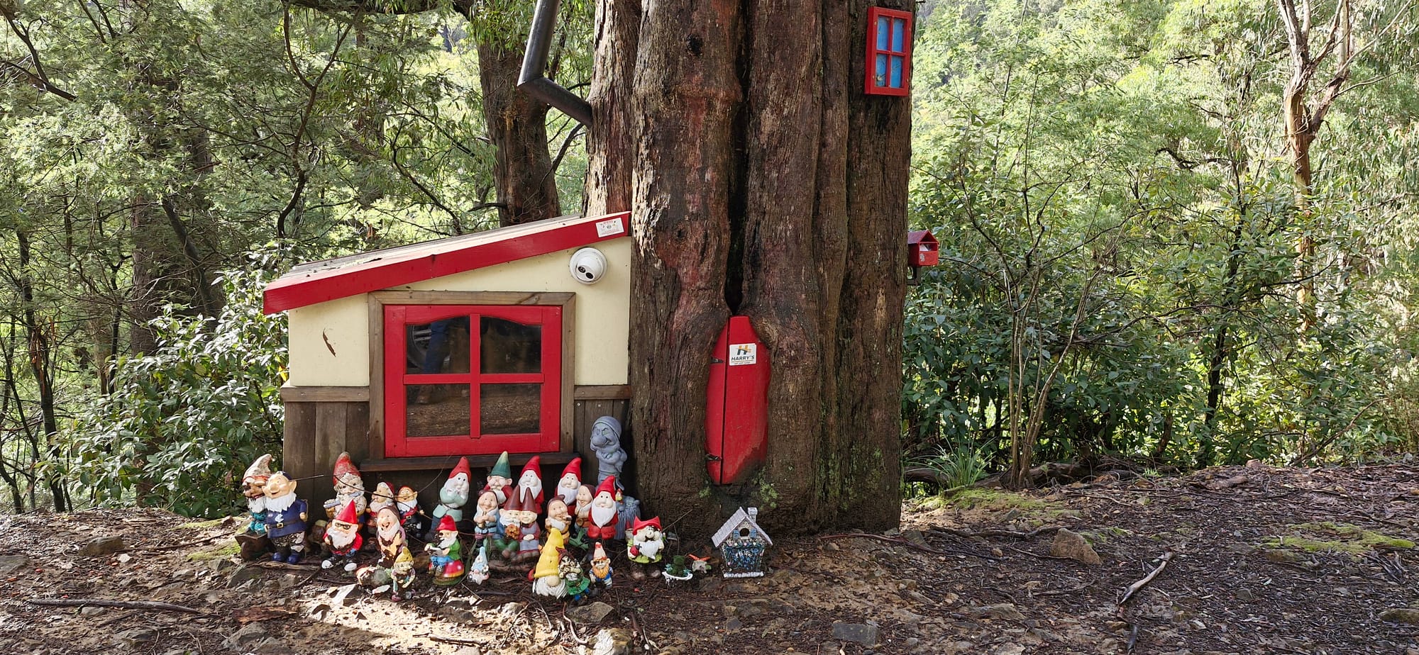 Gnomes welcome visitors to Buller Post image