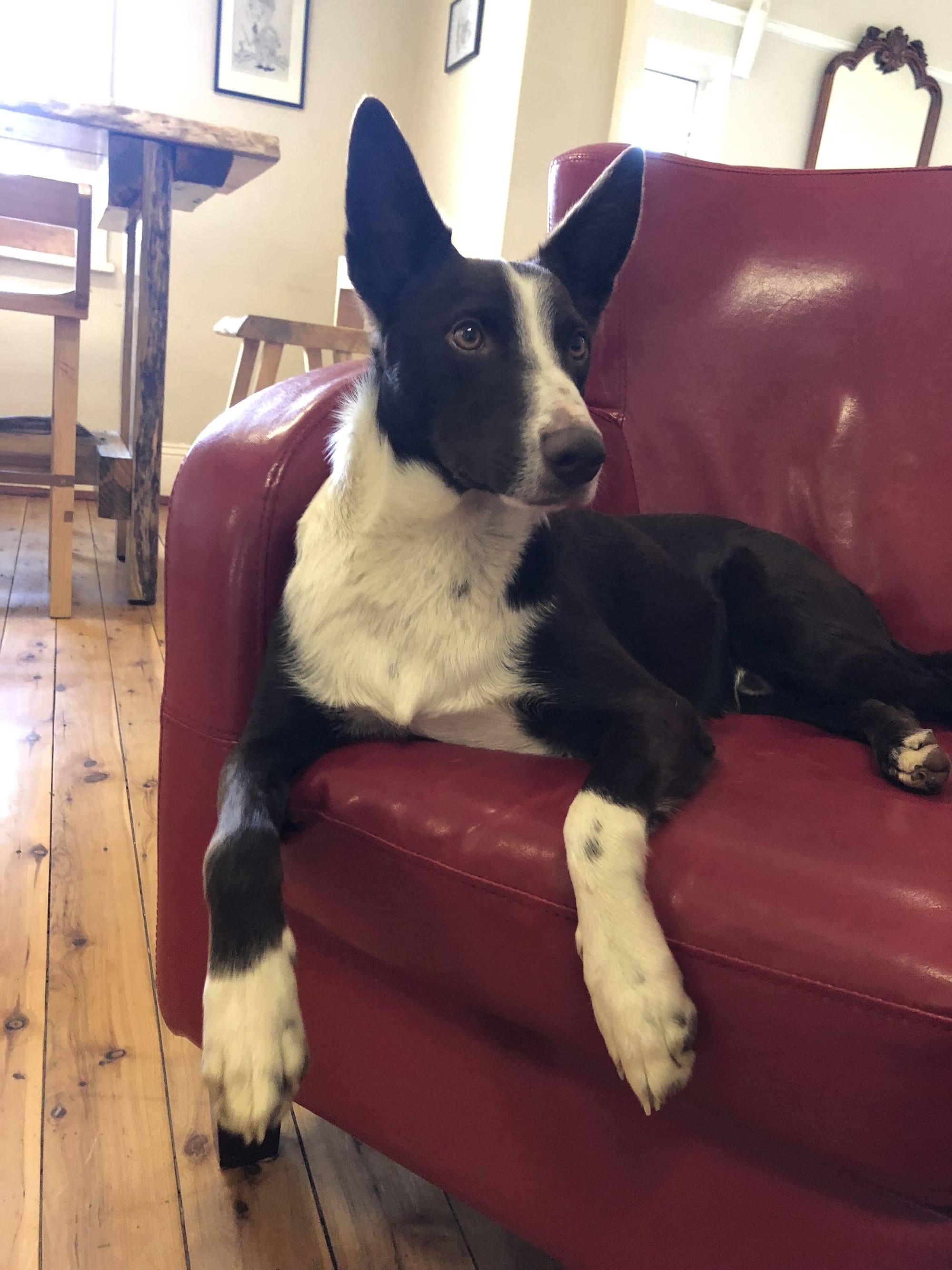 Room to relax and unwind in an historic pub Post image