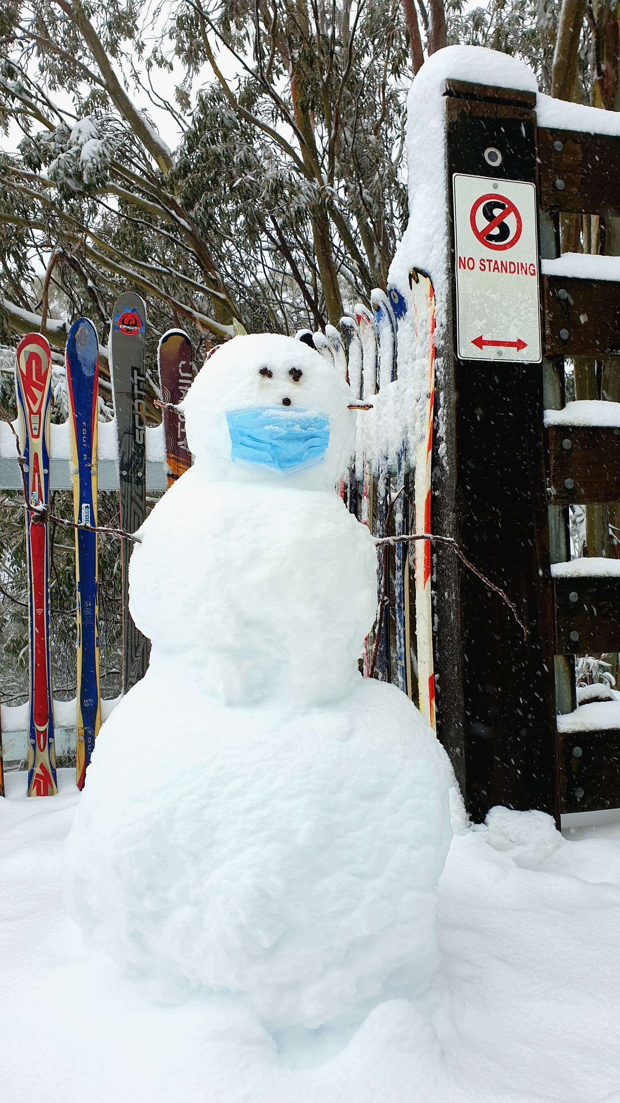 Lockdown a setback, but visitor numbers well up Post image