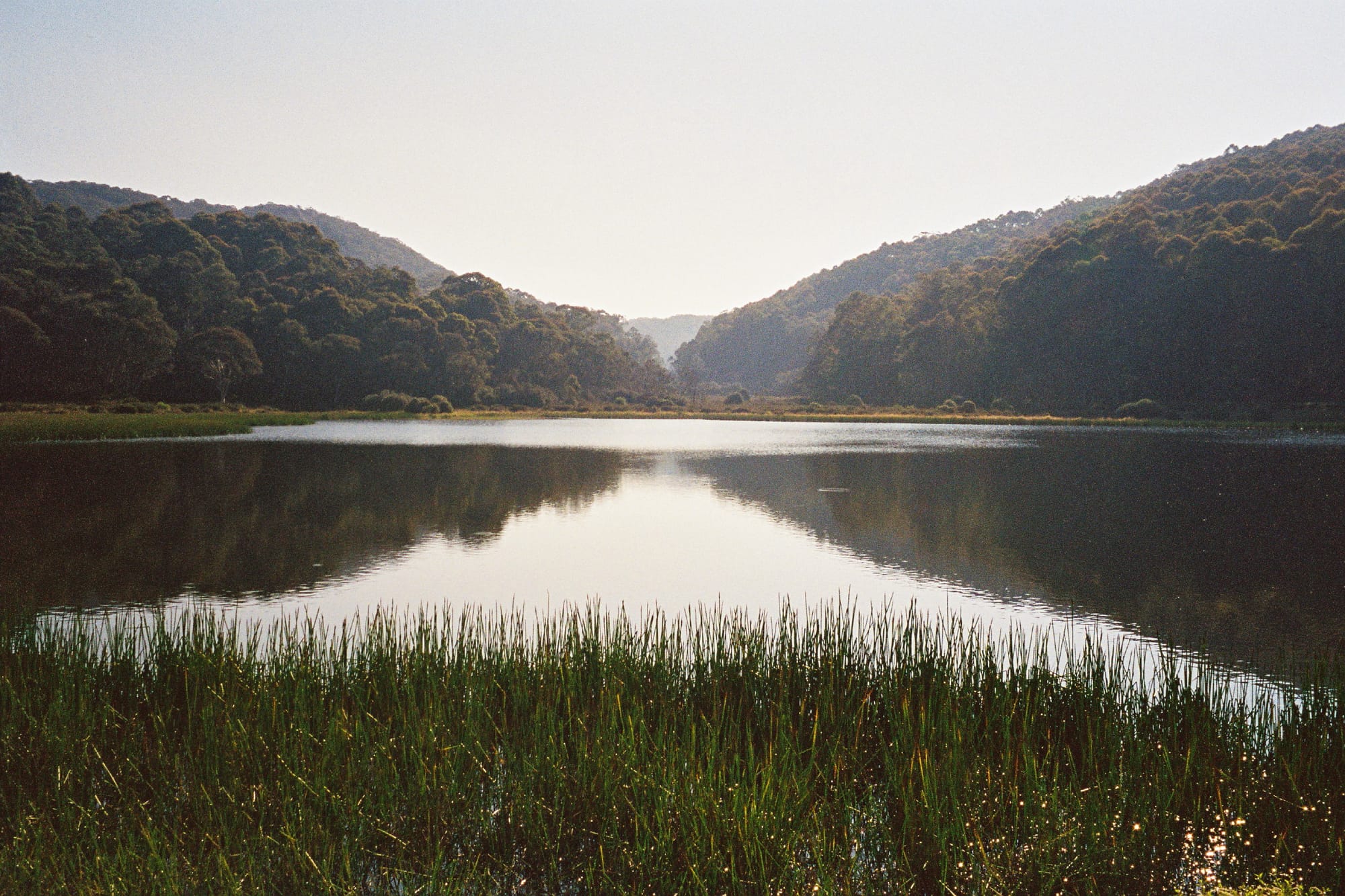 Mount Buffalo reopens Post image