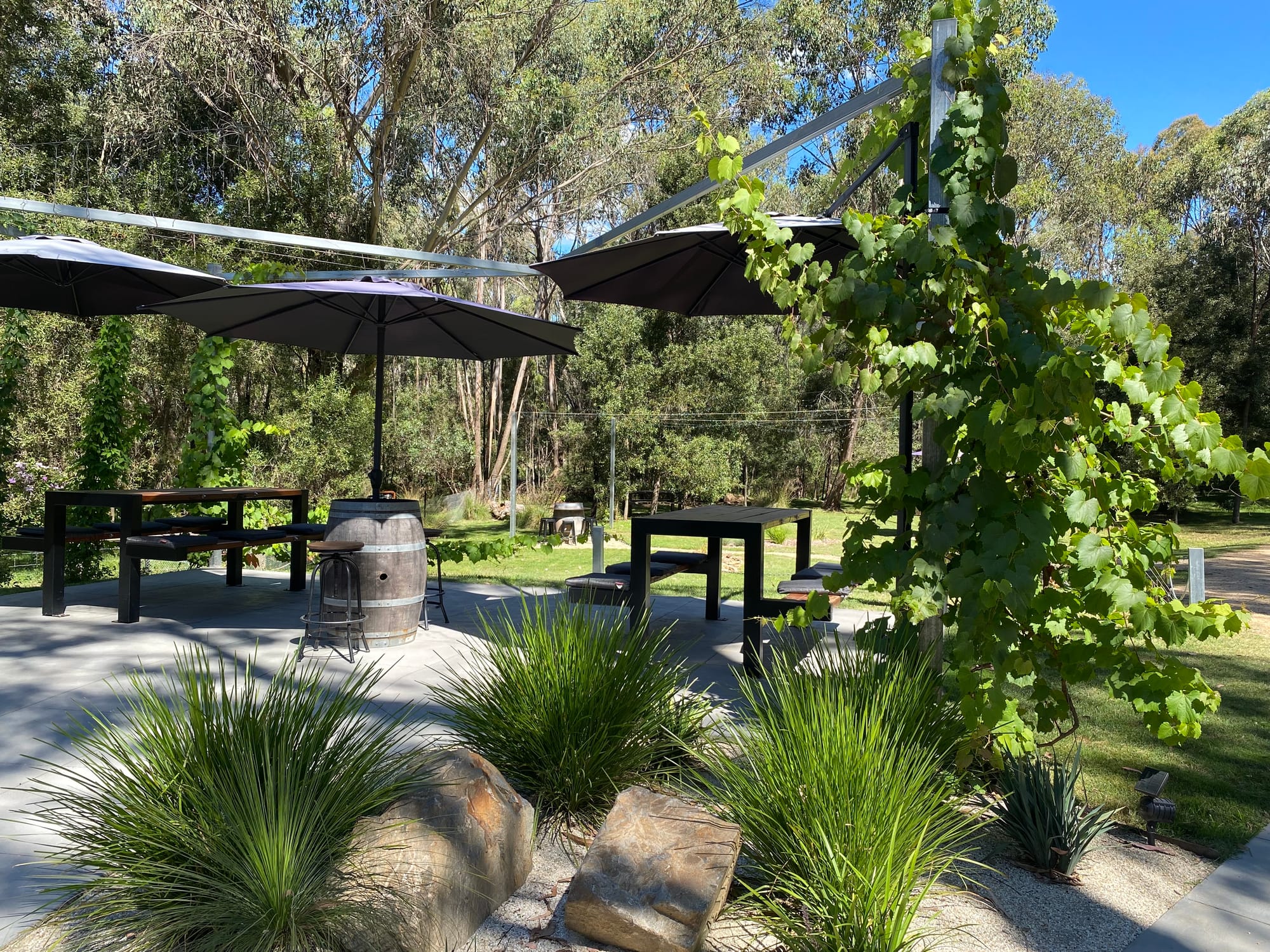 Small town distillery, big medal winning spirits Post image