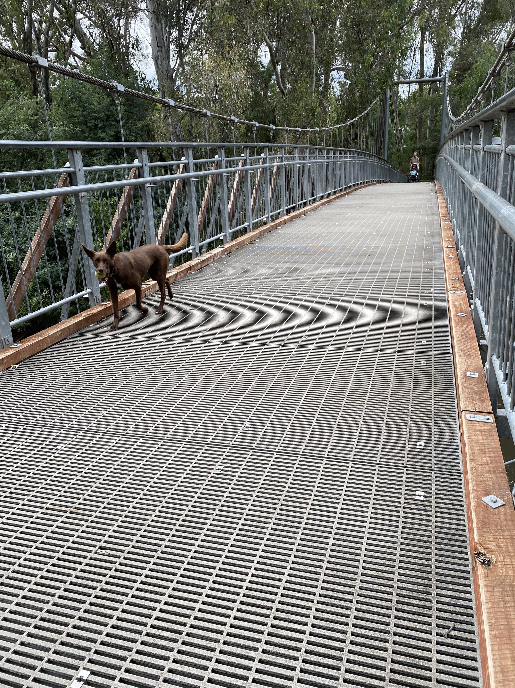 Experience Wangaratta this autumn Post image