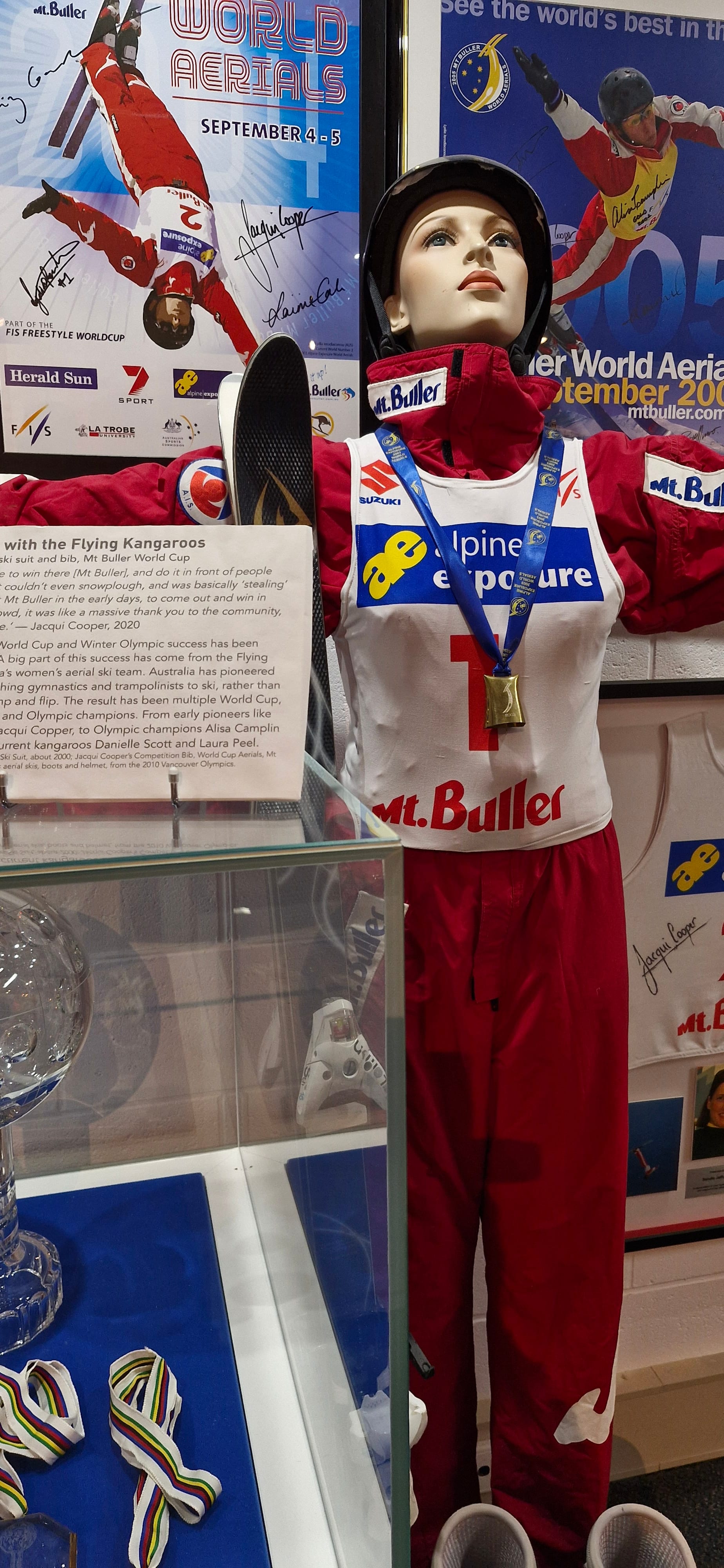 Buller’s Flying Kangaroo Jacqui Cooper exhibition Post image