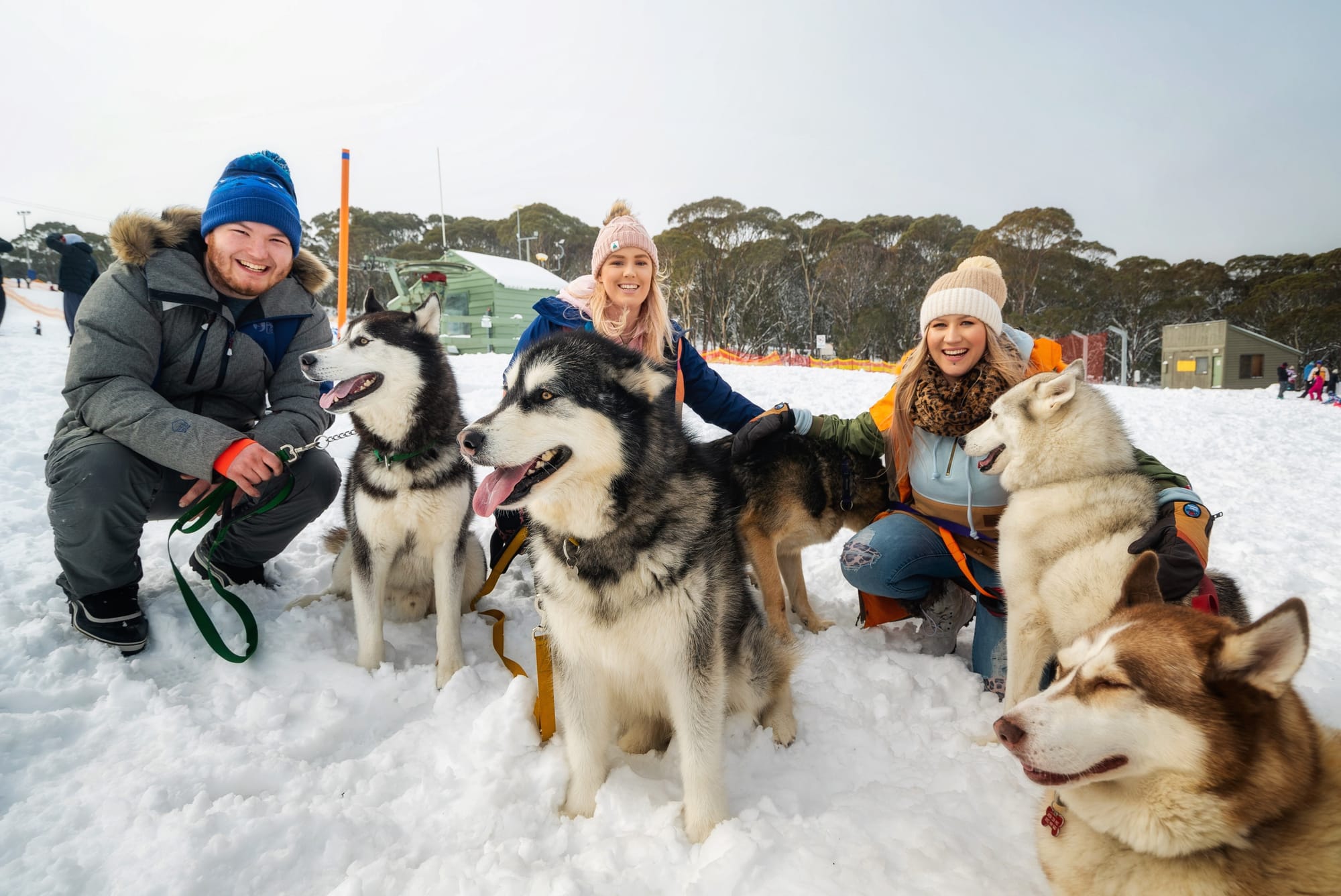 Dinner Plain free and full of fun Post image