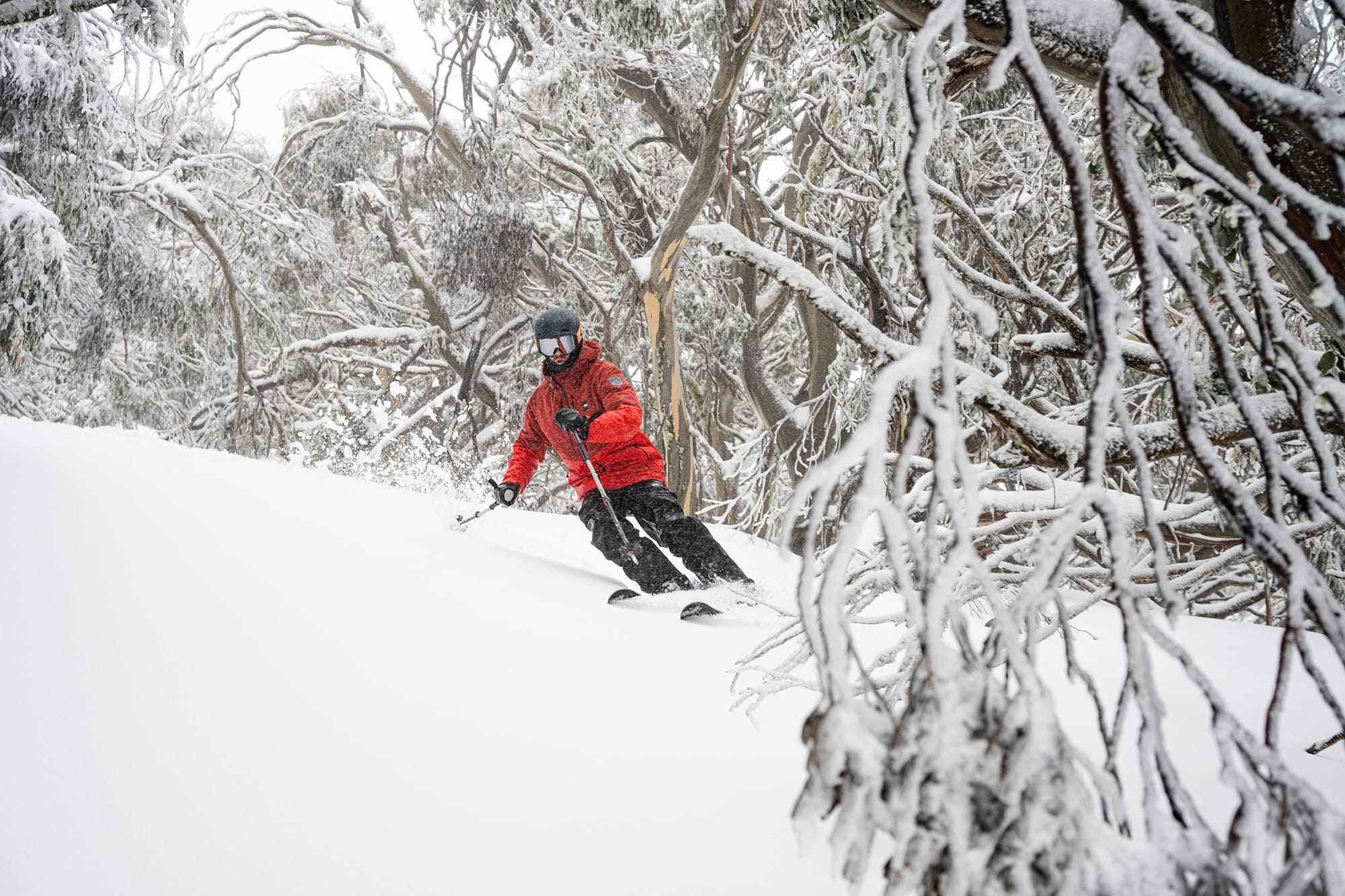 Buller blanketed with September snowfall Post image