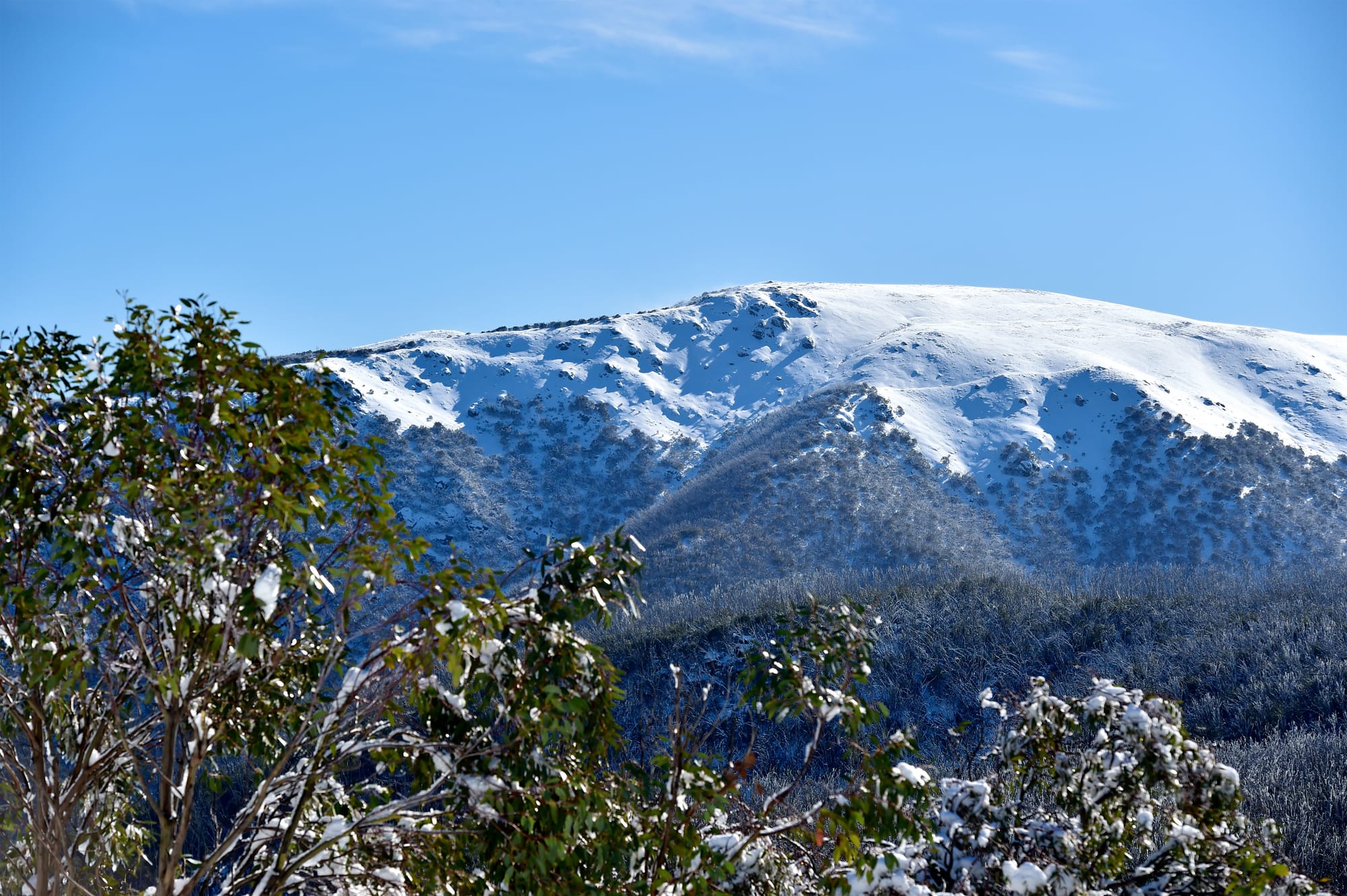 Winter will be a ‘little bit different’ Post image