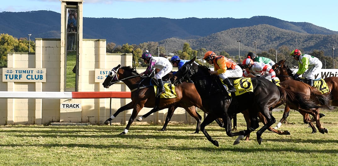 Tumut Races Tumut Cup 2023 Post image