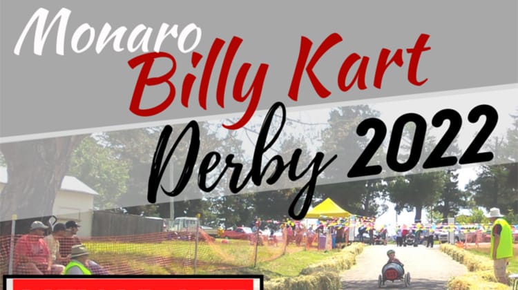 Monaro Billy Kart Derby Post image