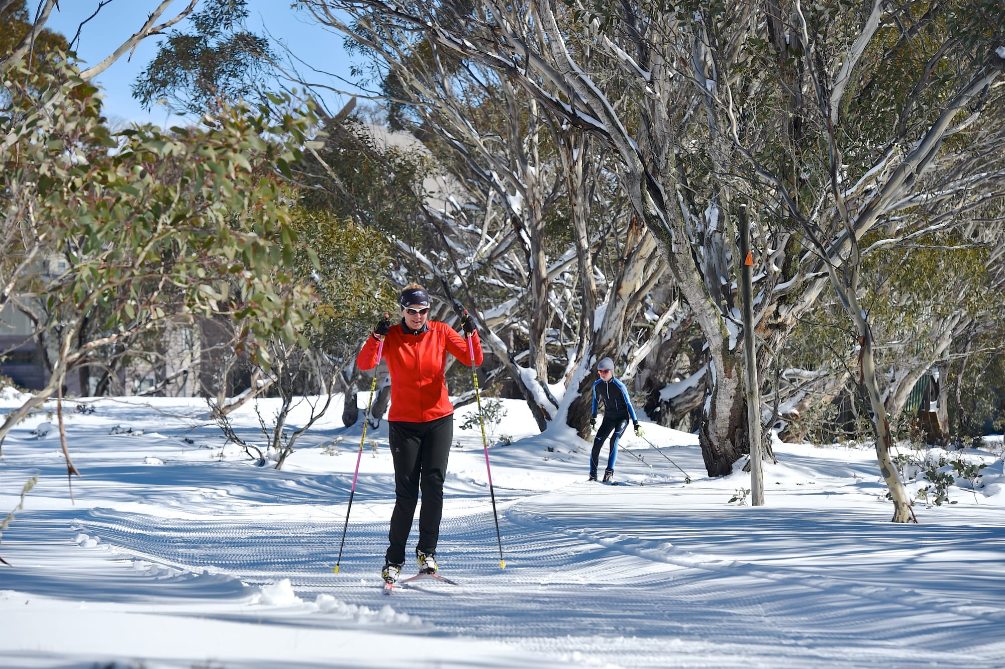 Cross country lifestyle back in vogue in 2021 Post image