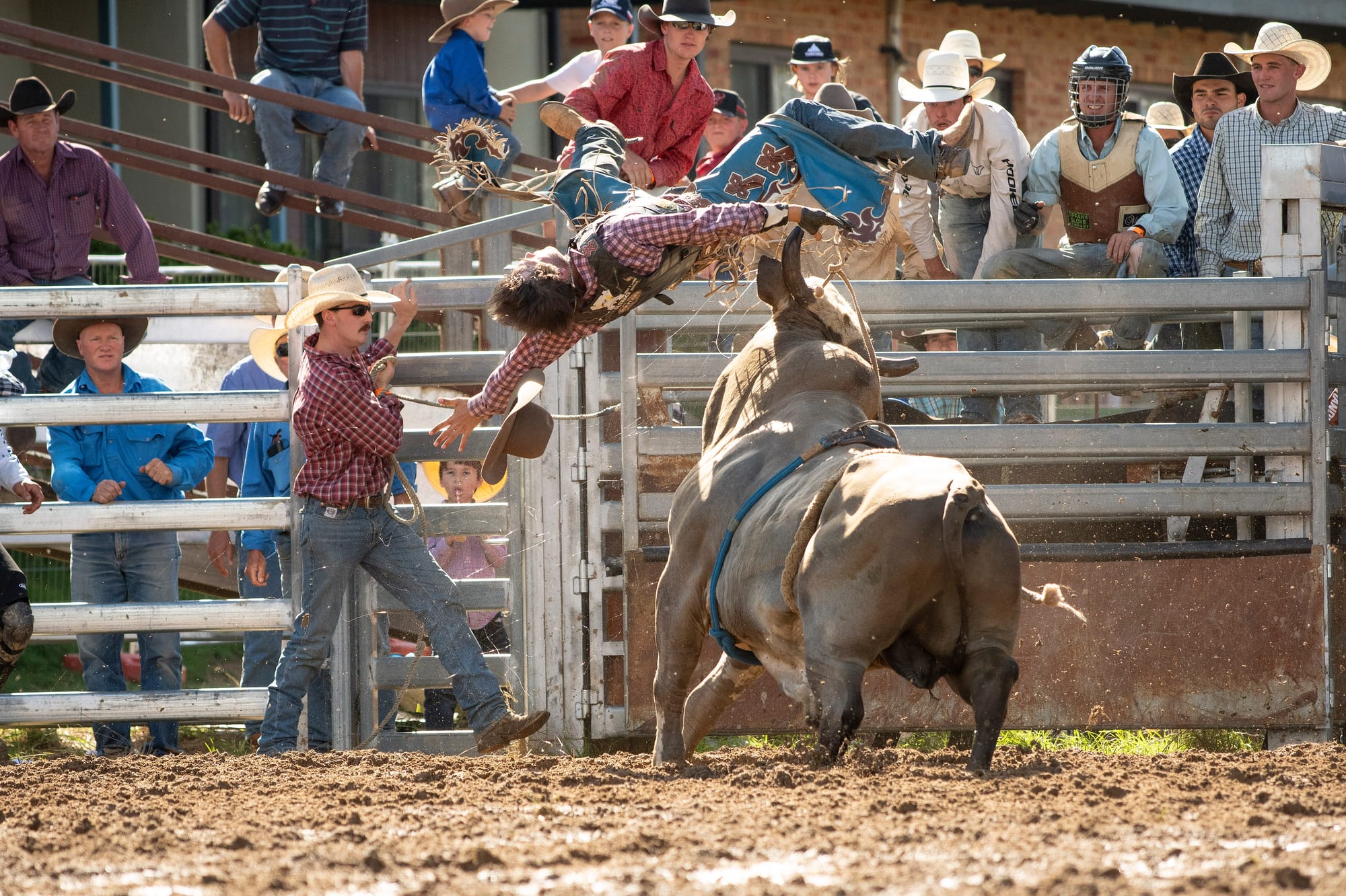 Eight Seconds Of Bull Post image