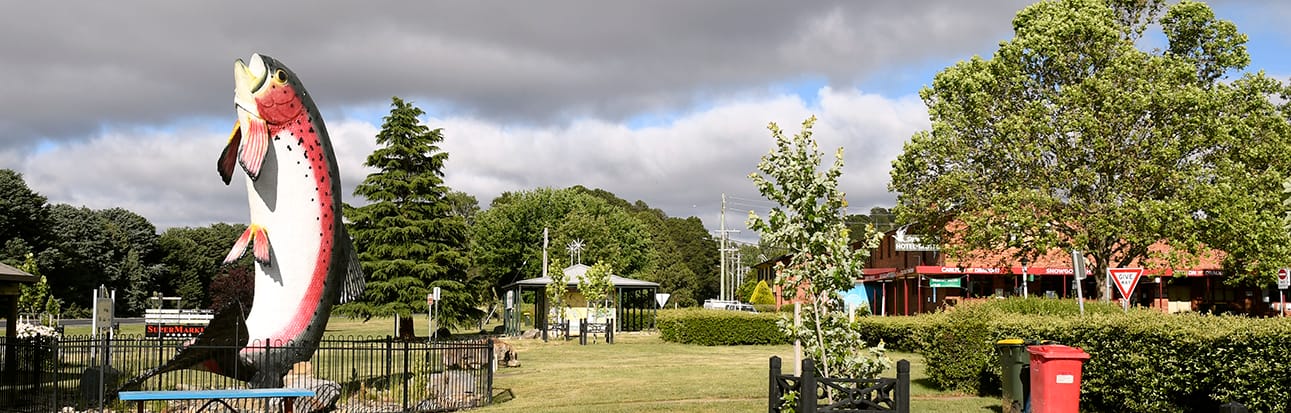 Alpine Towns NSW: Adaminaby - Lake Eucumbene Post feature image
