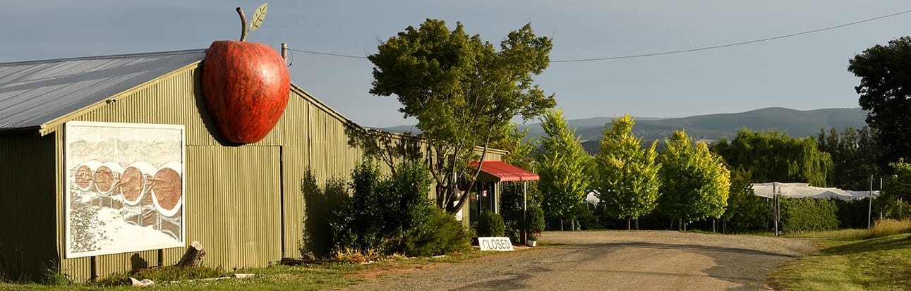 Alpine Towns NSW: Adelong - Batlow Post feature image