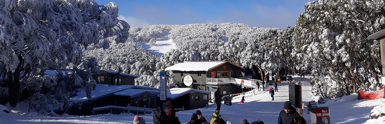 Snow Resorts VIC: Mt Baw Baw Post feature image
