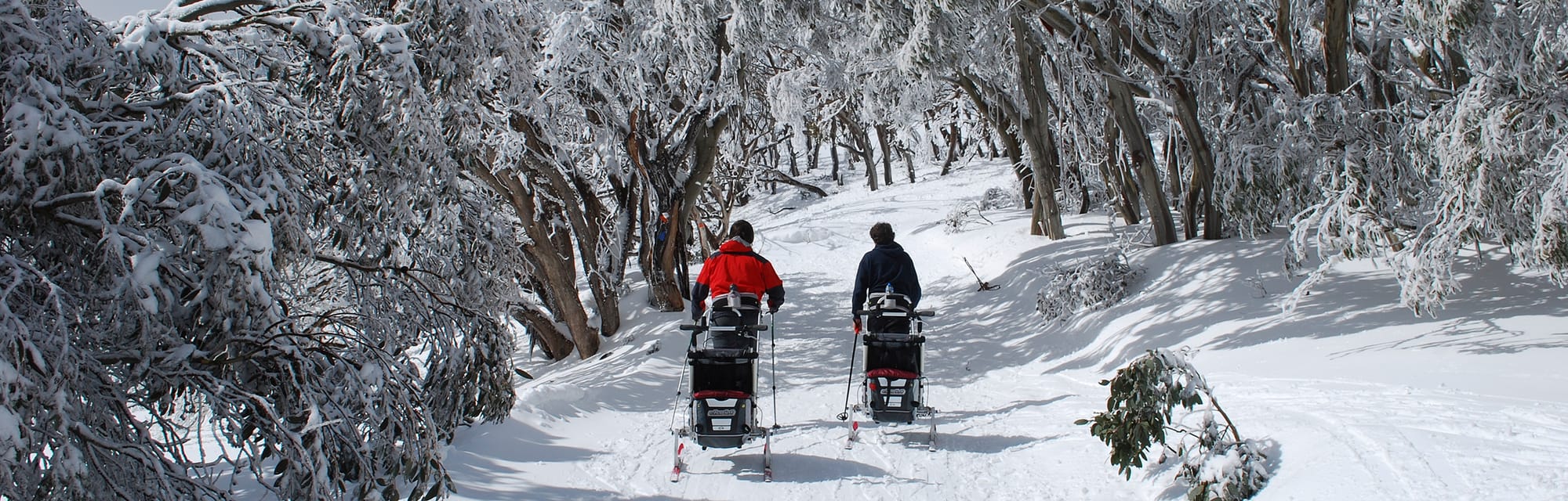 Snow Resorts VIC: Mt Stirling Post feature image