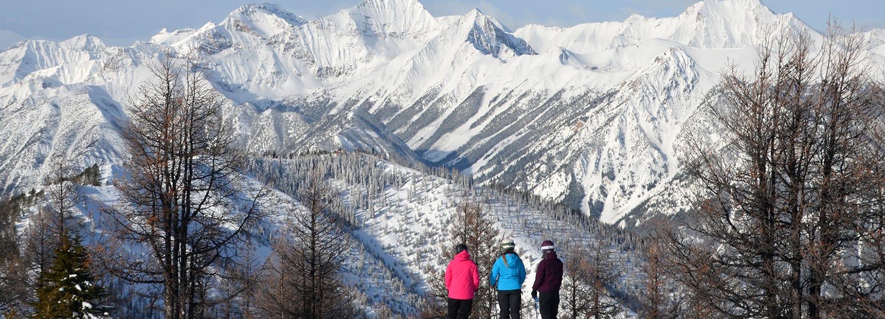 Canada: Panorama Post feature image