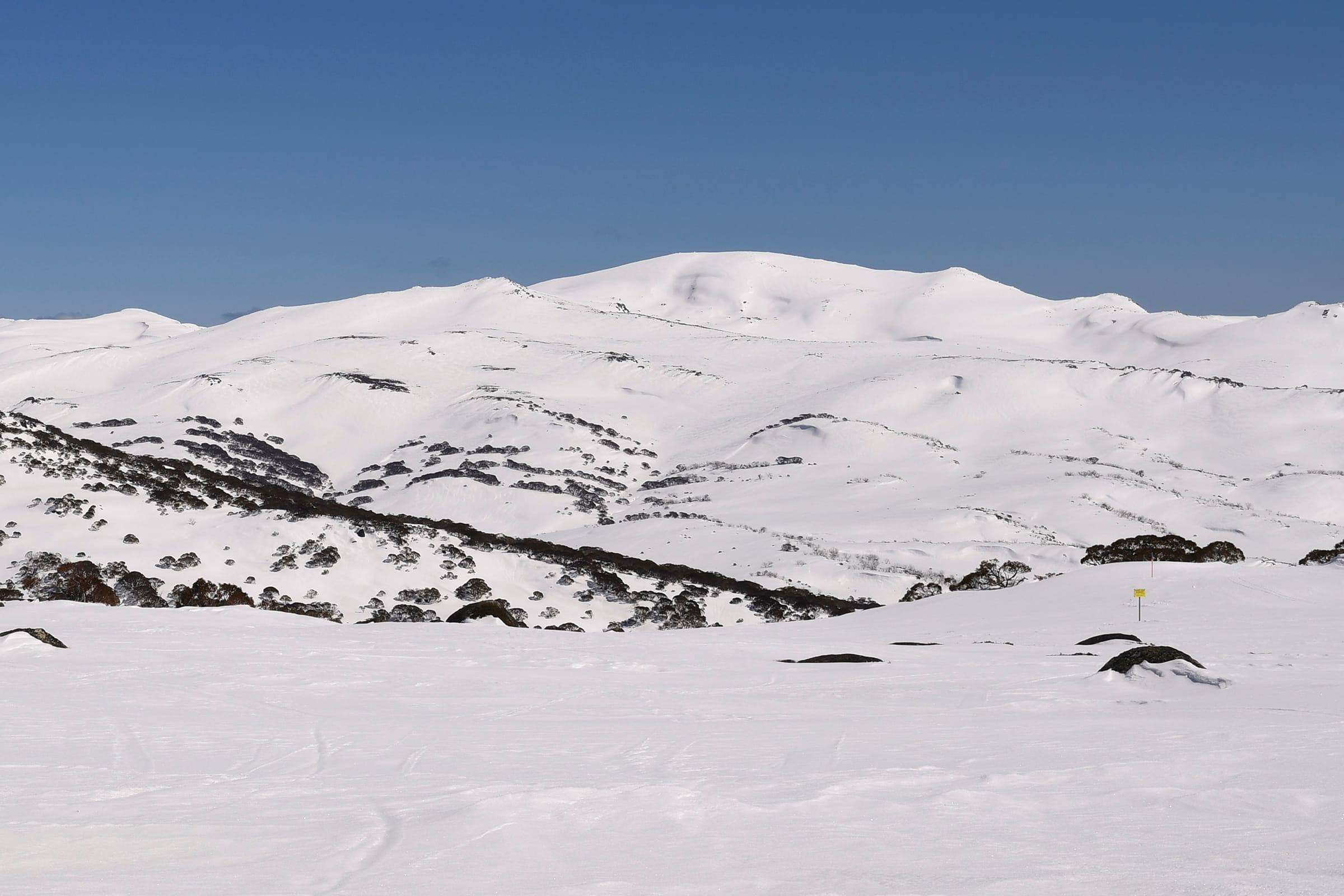 Police search for missing skier in Kosciuszko backcountry Post feature image