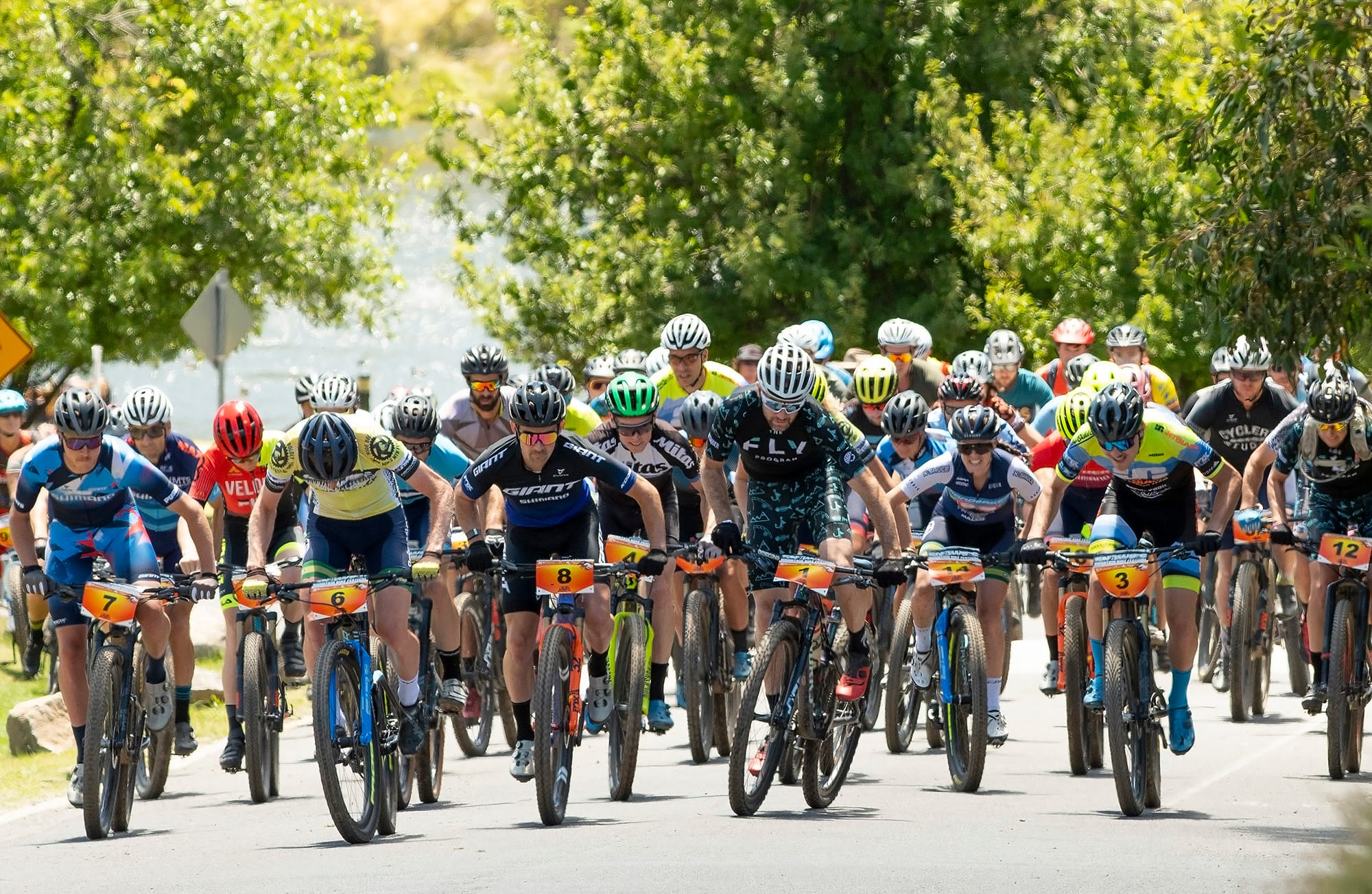 Multisport month of February Post feature image