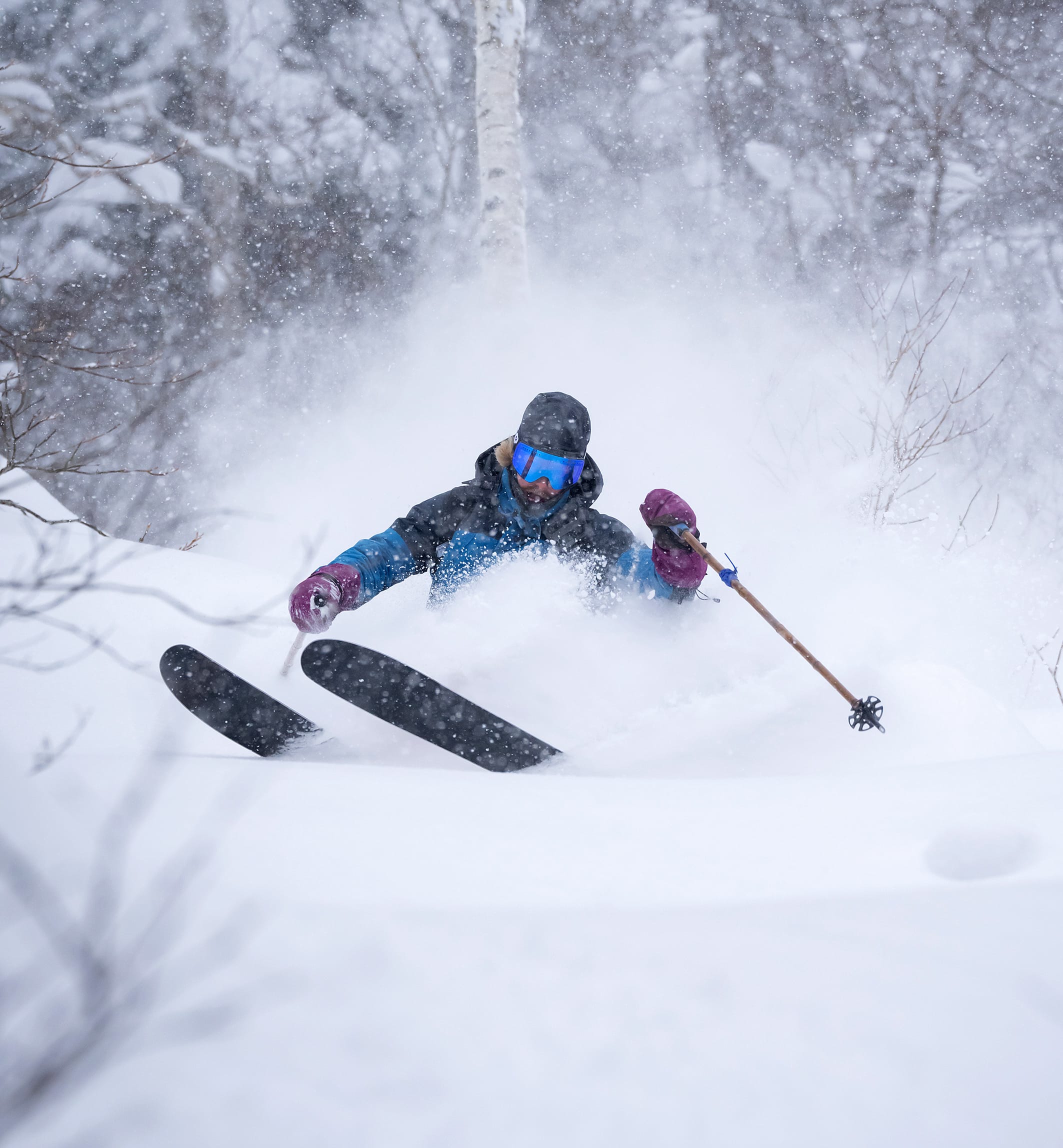 Desert Skis- New Ski Brand As Unique As Aussie Echidna Post feature image