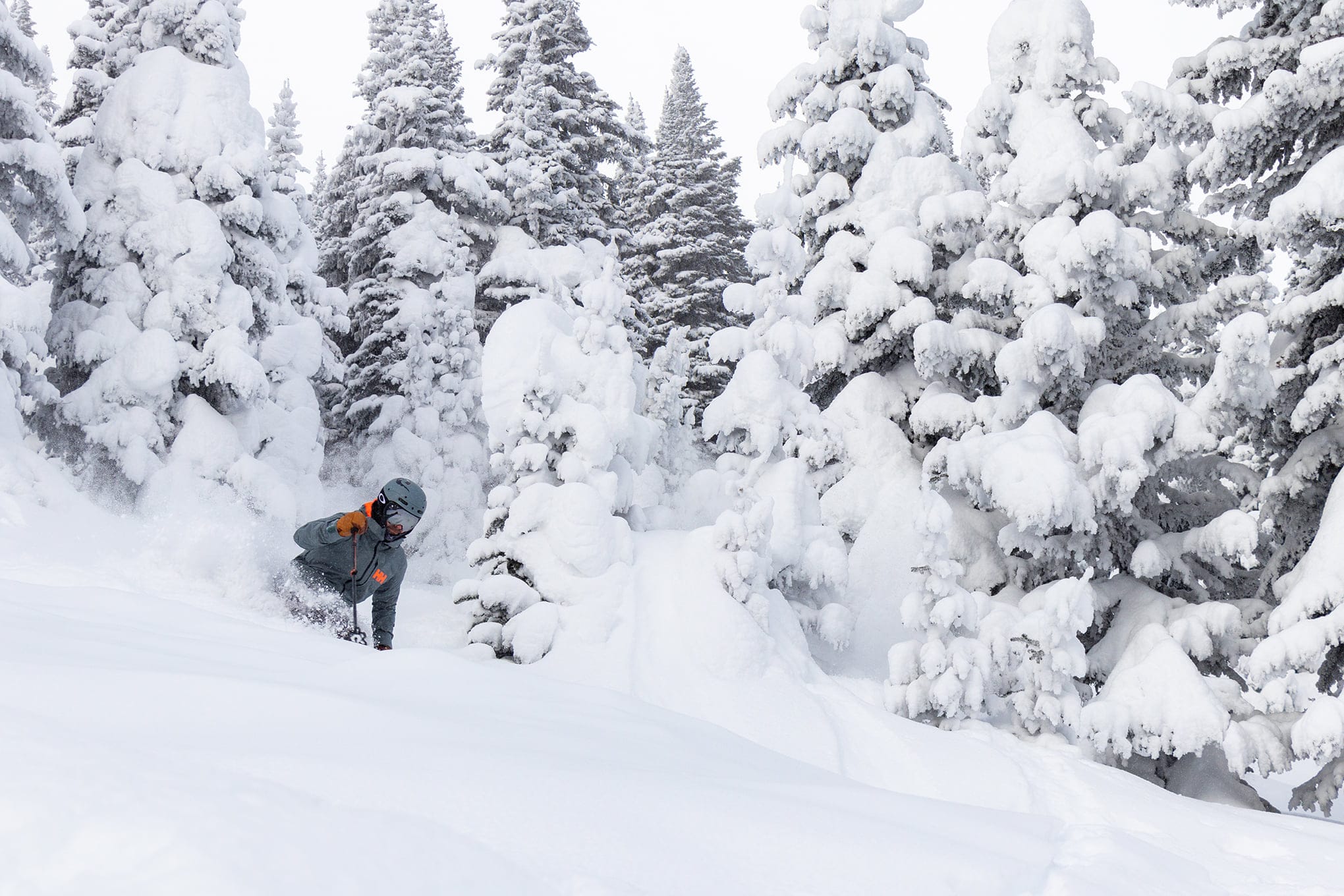 Sun Peaks, Canada’s second largest ski area joins the Ikon Pass. Post feature image