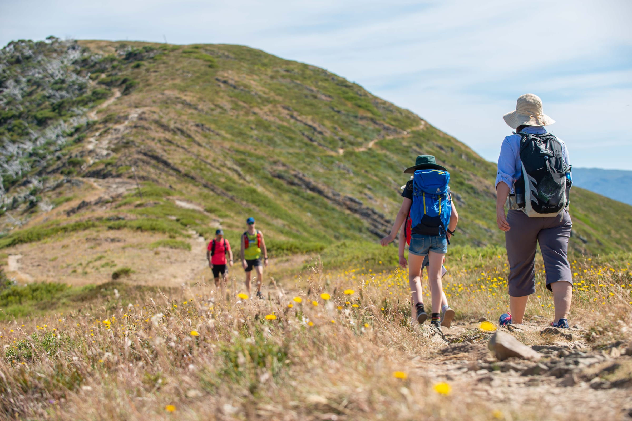 Dinner Plain a year-round destination Post feature image