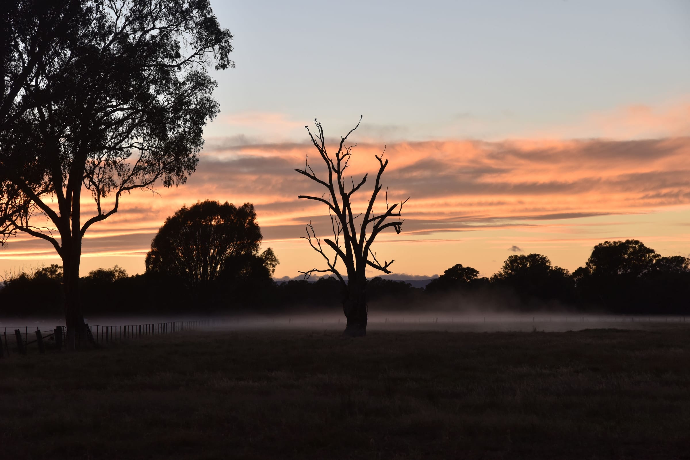 Riding and hiking trails, gourmet food and wine Post feature image