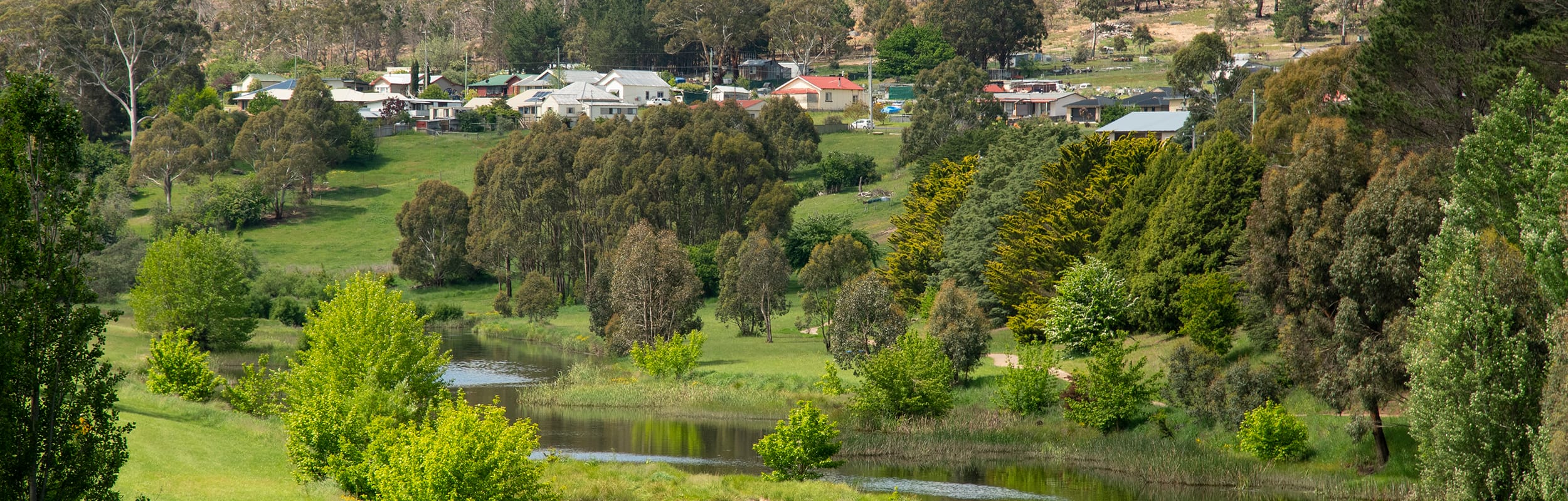 Alpine Towns NSW: Bombala - Delegate Page image